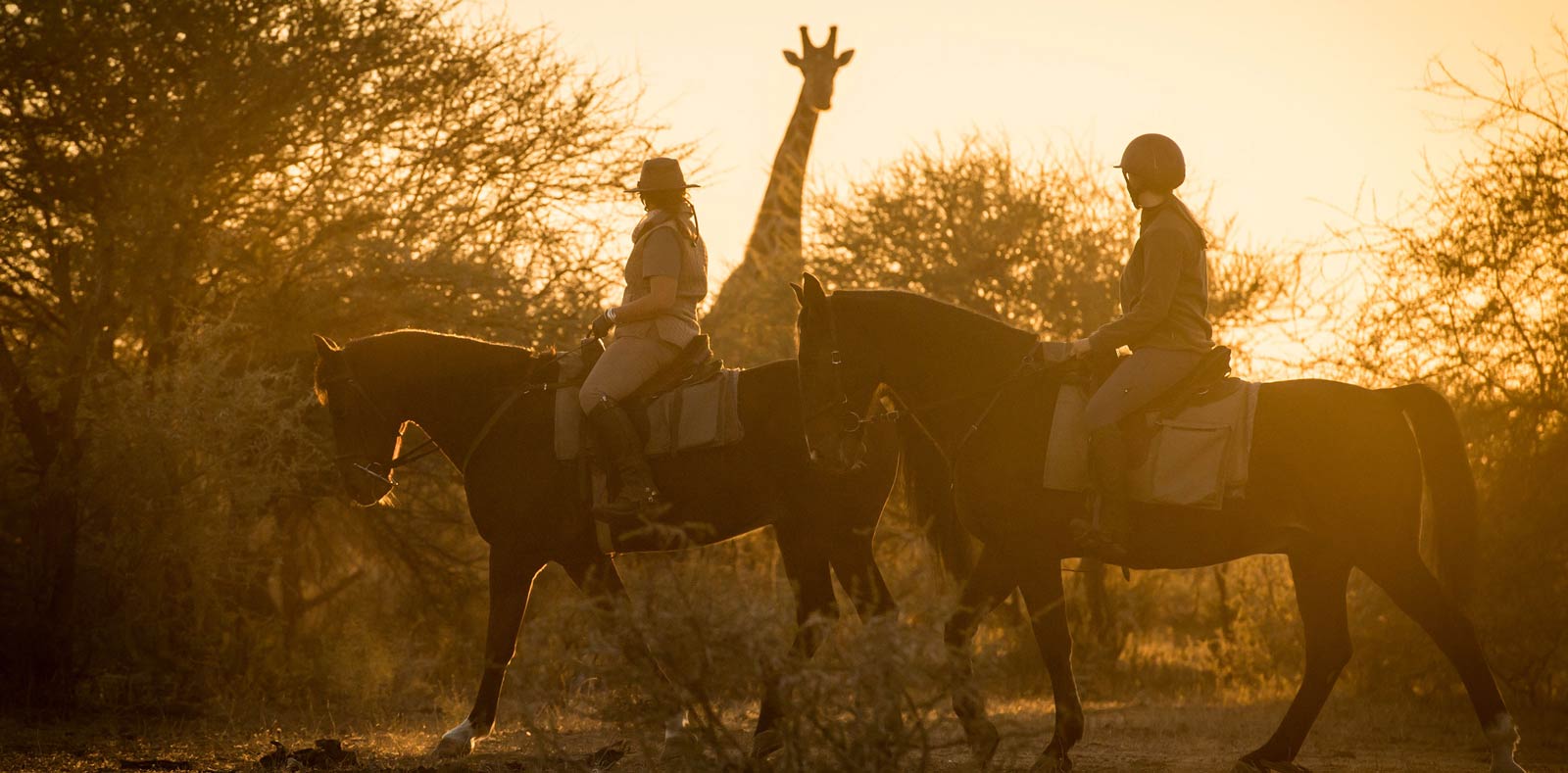 Africa Horse Tours